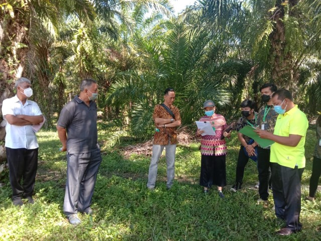 Pengadilan Negeri Simalungun Melakukan Pemeriksaan Setempat di Maligas Tongah Kabupaten Simalungun Pengadilan Negeri Simalungun Melakukan Pemeriksaan Setempat di Maligas Tongah Kabupaten Simalungun